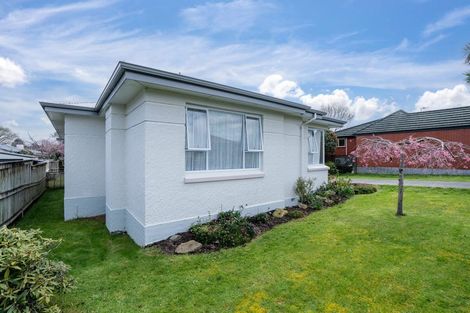 Photo of property in 50 Sydney Street, Windsor, Invercargill, 9810