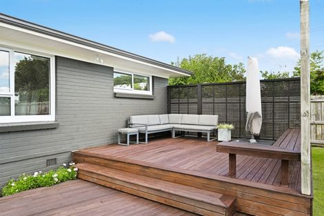 Photo of property in 45 Crosby Road, Chartwell, Hamilton, 3210