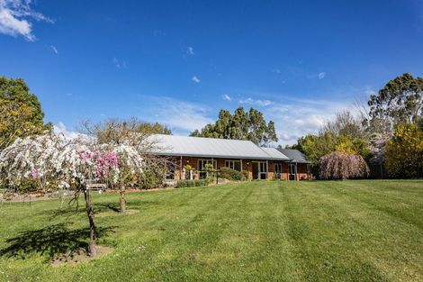 Photo of property in 804 Oxford Road, Fernside, Rangiora, 7471