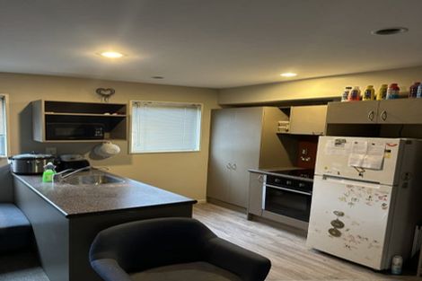 Photo of property in 141 Purchas Street, Edgeware, Christchurch, 8013