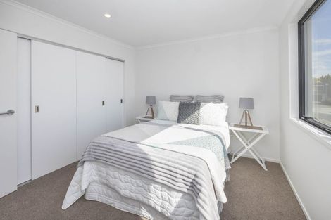 Photo of property in 52 Musselwhite Terrace, Chartwell, 3210