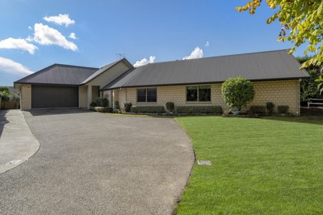 Photo of property in 49 Hollister Lane, Ohauiti, Tauranga, 3112