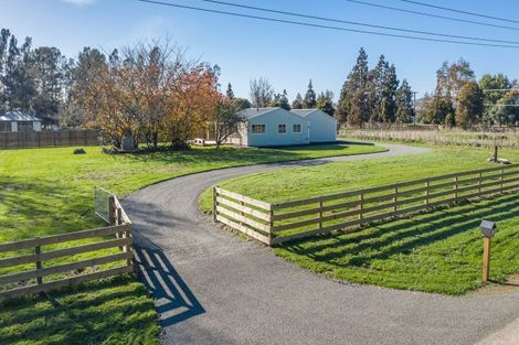 Photo of property in 8 Whelans Road, Levin, 5571