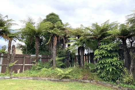 Photo of property in 3/6 Pauareka Road, Haast, 7886