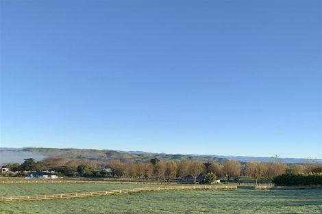 Photo of property in 310b Porangahau Road, Waipukurau, 4282