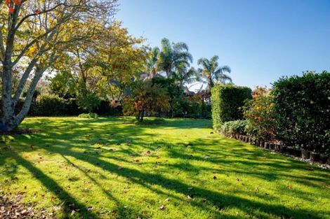 Photo of property in 293 Plummers Point Road, Whakamarama, Tauranga, 3172