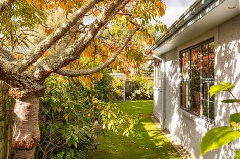 Photo of property in 168a Te Awe Awe Street, Hokowhitu, Palmerston North, 4410