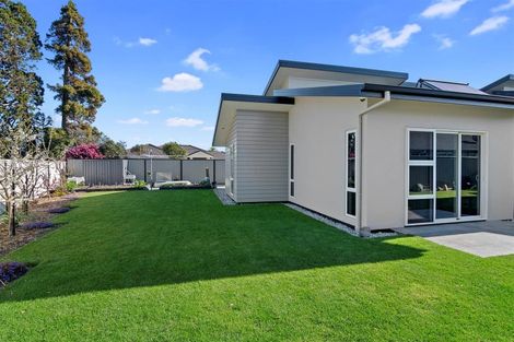 Photo of property in 12 Woodstock Place, Stoke, Nelson, 7011