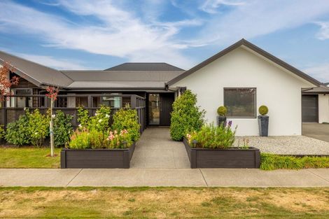 Photo of property in 10 Chimera Street, Pegasus, 7612