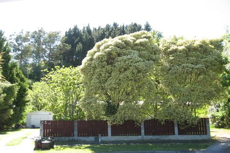 Photo of property in 49 Lawrence Place, Outer Kaiti, Gisborne, 4010