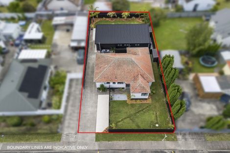 Photo of property in 608 Titoki Street, Mahora, Hastings, 4120