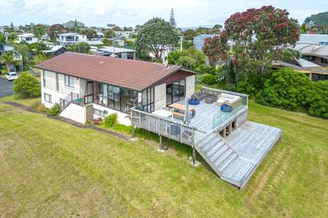 Photo of property in 117a Patuwai Drive, Whangamata, 3620