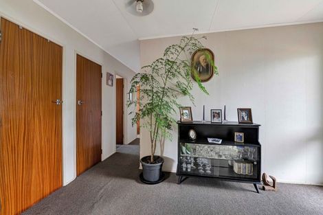 Photo of property in 152 Brecon Road, Stratford, 4332