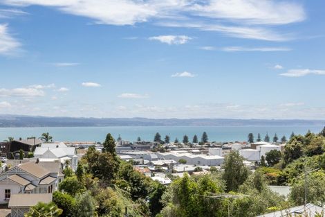 Photo of property in 20 Goldsmith Road, Hospital Hill, Napier, 4110