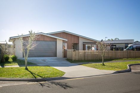 Photo of property in 48 Pengover Avenue, Leamington, Cambridge, 3432