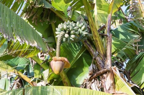 Photo of property in 30 Mill Road, Clive, 4102