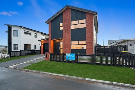 Photo of property in 17 Ogilvie Avenue, Chartwell, Hamilton, 3210