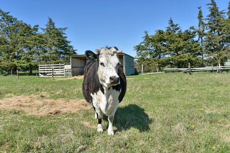 Photo of property in 606 Pesters Road, West Eyreton, Rangiora, 7475