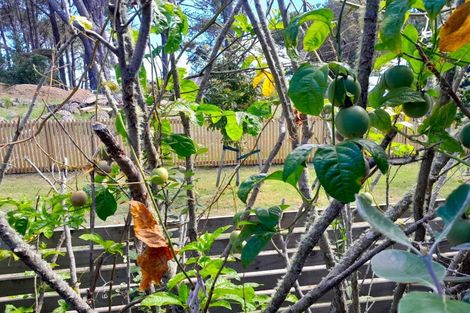 Photo of property in 756 Matarangi Drive, Matarangi, Whitianga, 3592