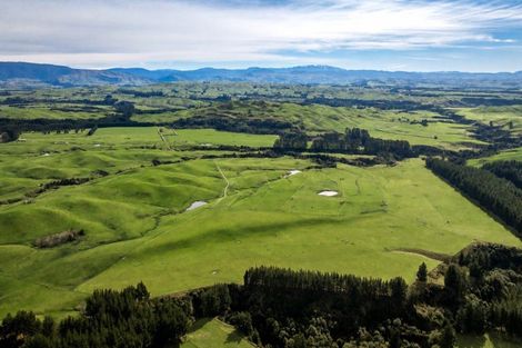 Photo of property in 1233 Kereru Road, Maraekakaho, Hastings, 4171