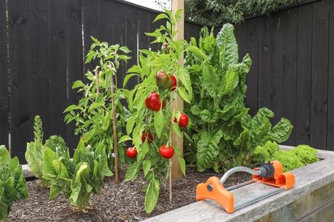 Photo of property in 81 Mahi Road, Te Kauwhata, 3710