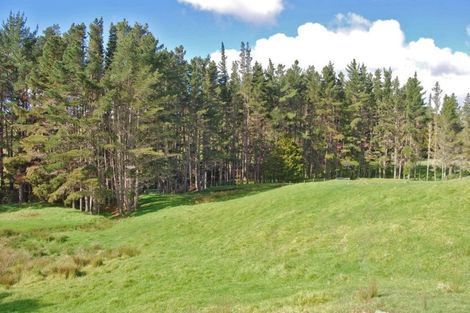 Photo of property in 56 Wattle Lane, Kaiwaka, 0573