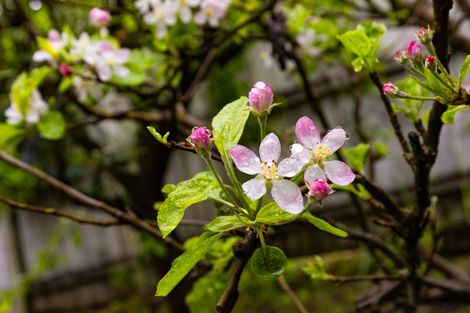 Photo of property in 6 Estuary Close, Warkworth, 0910