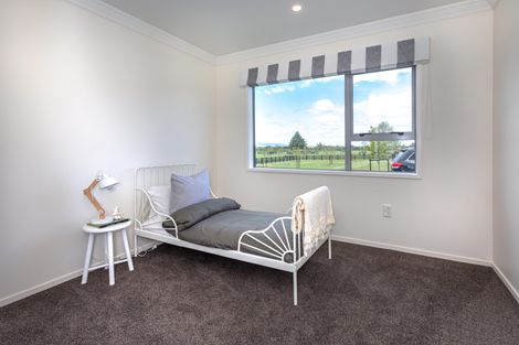 Photo of property in 173 Station Road, Matamata, 3472