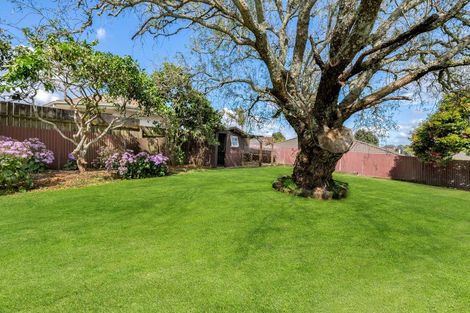 Photo of property in 36 Beresford Street, Pukekohe, 2120