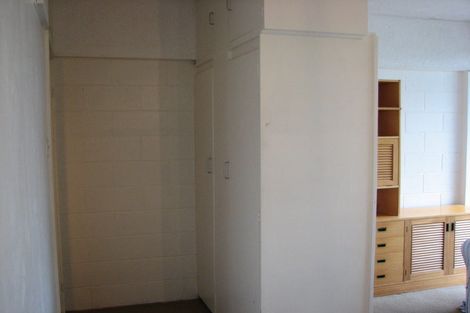 Photo of property in Fairmont Flats, 5d/20 Maarama Crescent, Aro Valley, Wellington, 6021