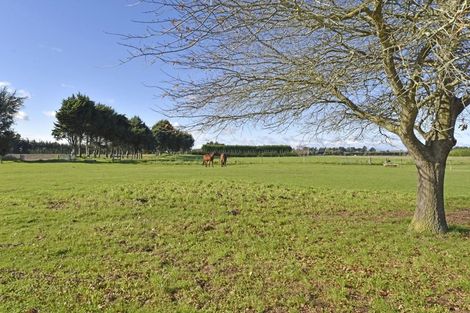 Photo of property in 1504 Old West Coast Road, West Melton, Christchurch, 7671