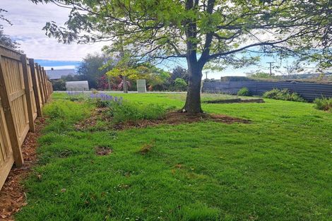 Photo of property in 5 Darby Street, Geraldine, 7930