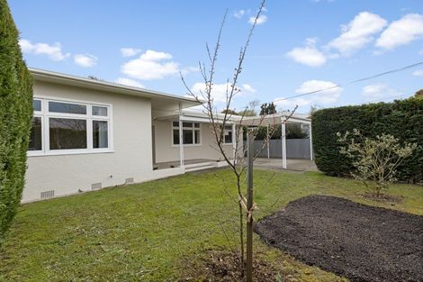 Photo of property in 17 East Street, Terrace End, Palmerston North, 4410