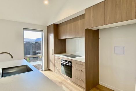 Photo of property in 55 Fairmaid Street, Lincoln, 7608