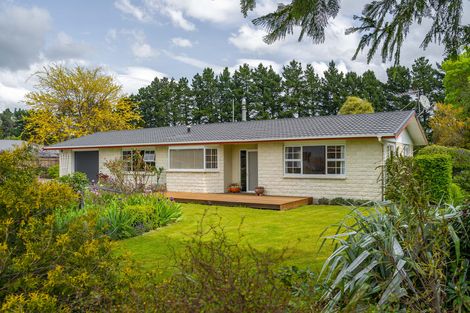 Photo of property in 71 Frederick Street, Carterton, 5713