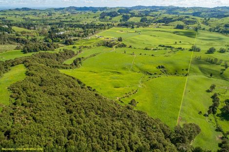 Photo of property in 127 Wilson Road, Hunua, Papakura, 2583