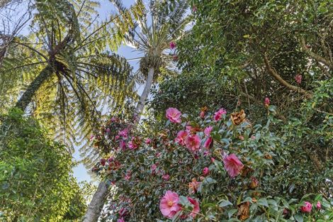 Photo of property in 20 Frankley Road, Westown, New Plymouth, 4310