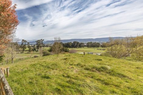 Photo of property in 134b Tipapakuku Road, Dannevirke, 4930