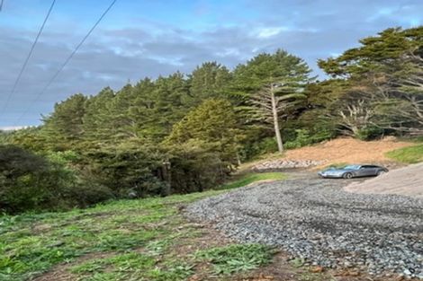 Photo of property in 211 Krippner Road, Puhoi, Warkworth, 0994