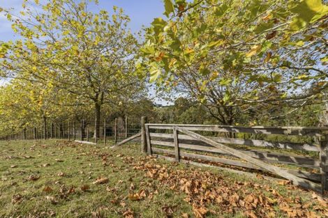 Photo of property in 115 Glenmore Road, Coatesville, Albany, 0793