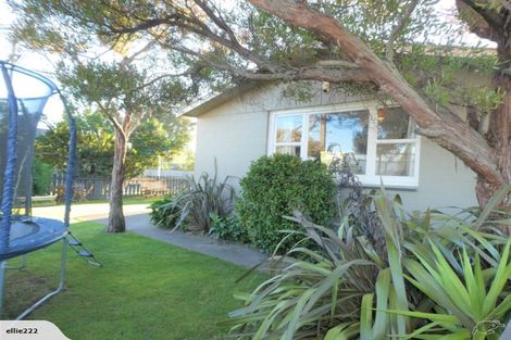 Photo of property in 28 Alma Street, Renwick, 7204