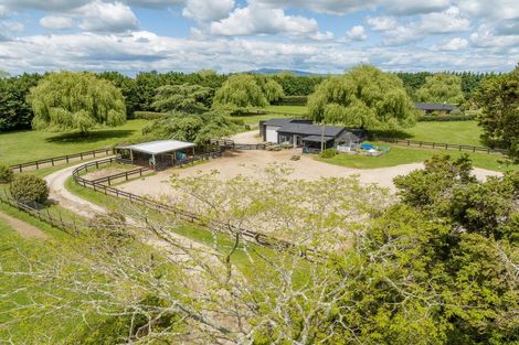 Photo of property in 191 Hautapu Road, Pukemoremore, Cambridge, 3493