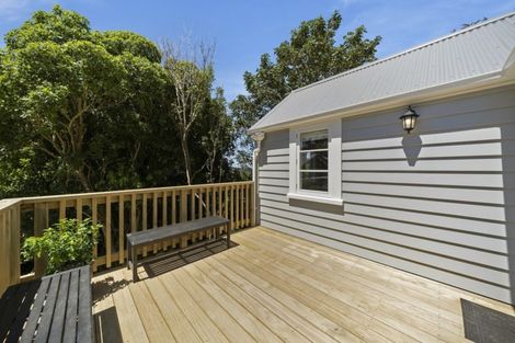 Photo of property in 45a Mana Street, Vogeltown, Wellington, 6021