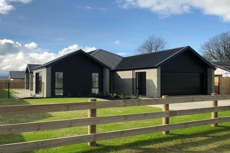 Photo of property in 33 Banks Road, Matamata, 3400