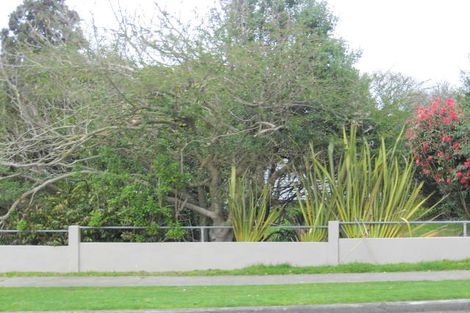 Photo of property in 13 Kawiu Road, Levin, 5510