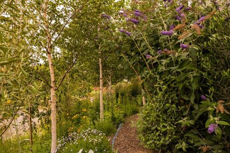 Photo of property in 10 Avignon Place, Fairhall, 7272