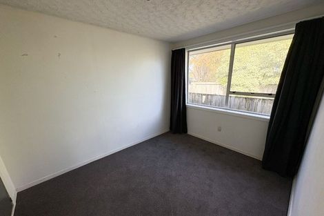 Photo of property in 60 Aldwins Road, Phillipstown, Christchurch, 8062