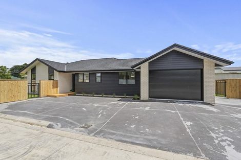 Photo of property in 45a Princess Street, Waitara, 4320