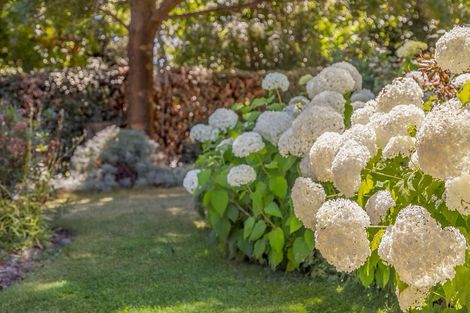 Photo of property in 475 Wanaka-luggate Highway, Wanaka, 9382