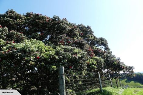 Photo of property in 4 Ohiwa Cove Rise, Waiotahe, Opotiki, 3198